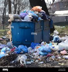 Best Recycling Services for Junk  in Walcott, IA