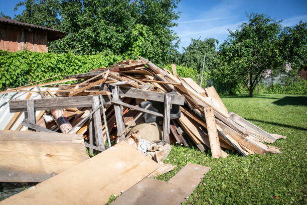 Best Carpet Removal and Disposal  in Walcott, IA